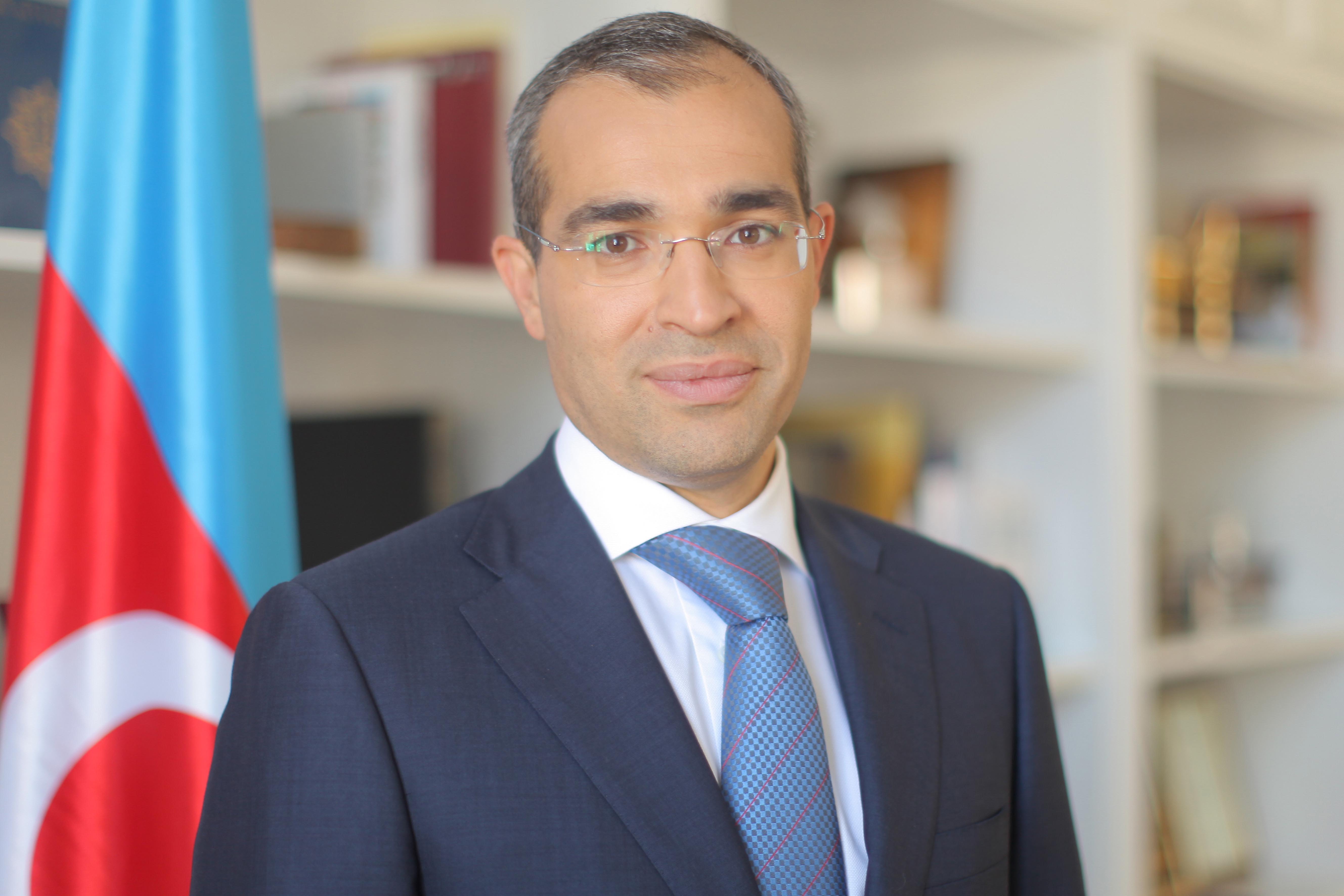 Bayrağımız qürur mənbəyimizdir - Mikayıl Cabbarov