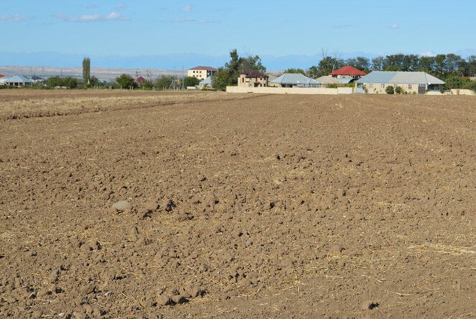 Torpaq bazarı daha şəffaf idarə olunmalıdır - DEPUTAT