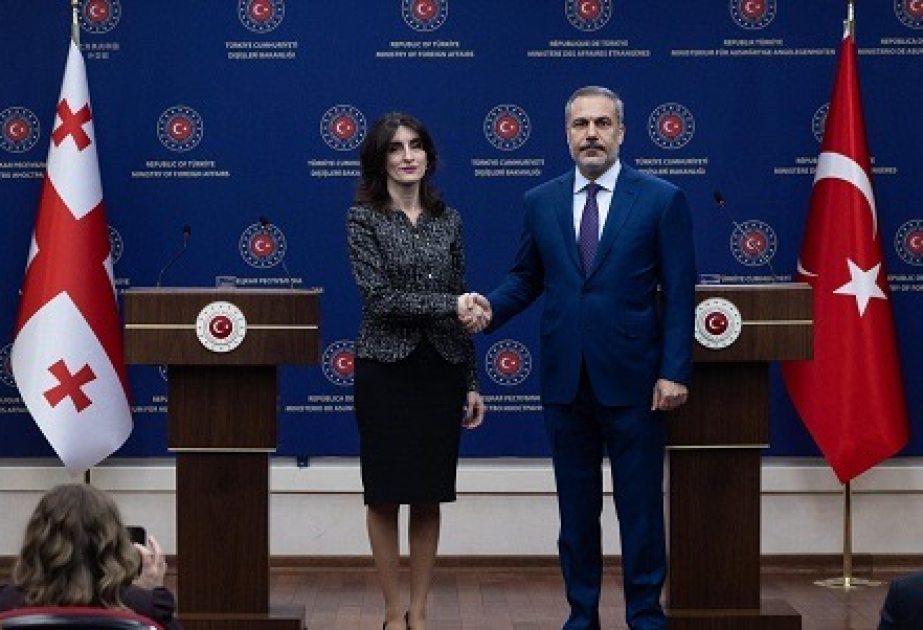 Təyyarə qəzasını müzakirə etdilər