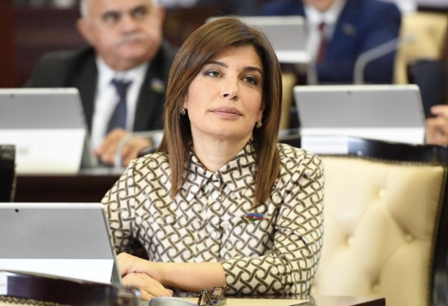 Kinoya vəsaitin ayrılmaması narahatlıq doğurur - DEPUTAT