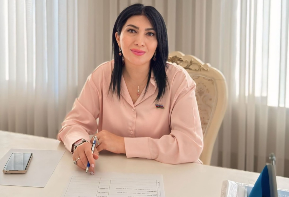 Azərbaycanda yazıçı problemi yoxdur - DEPUTAT