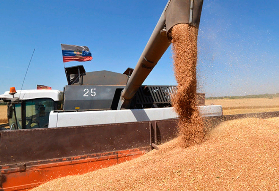 Paşinyandan Rusiyanın taxıl iddiasına REAKSİYA