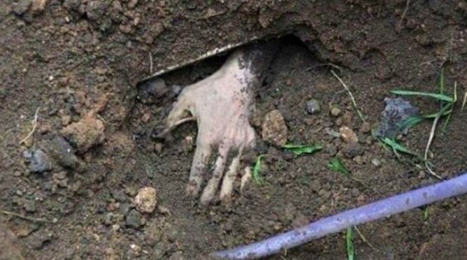 Doqquz il əvvəl itkin düşən qadının öldürüldüyü məlum oldu