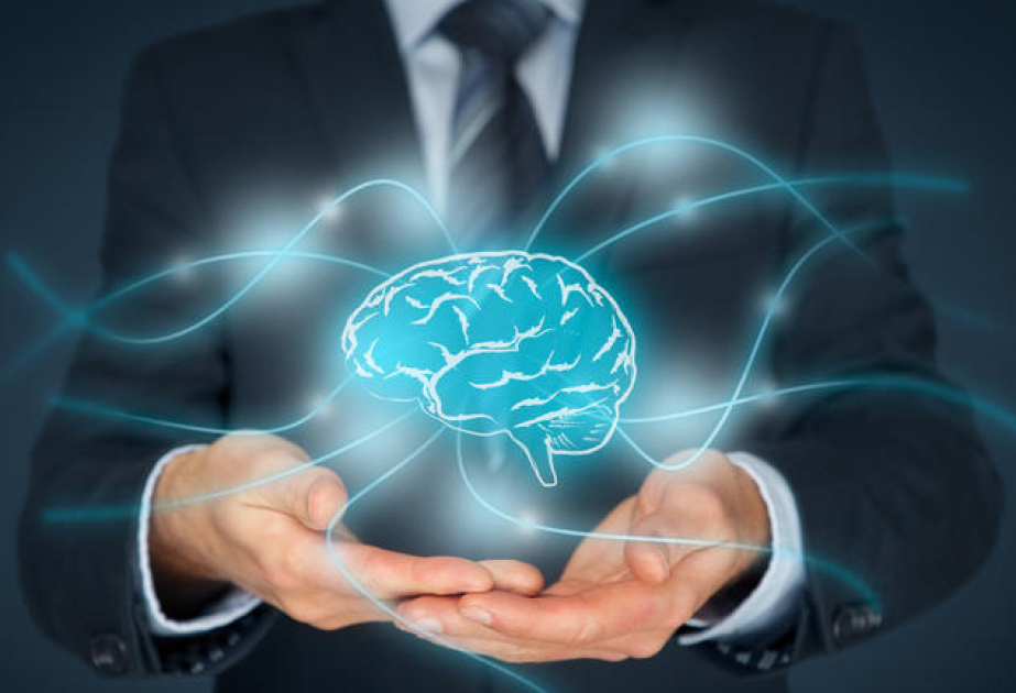 Azərbaycanın əqli mülkiyyət sahəsində dövlət siyasəti örnək göstərildi