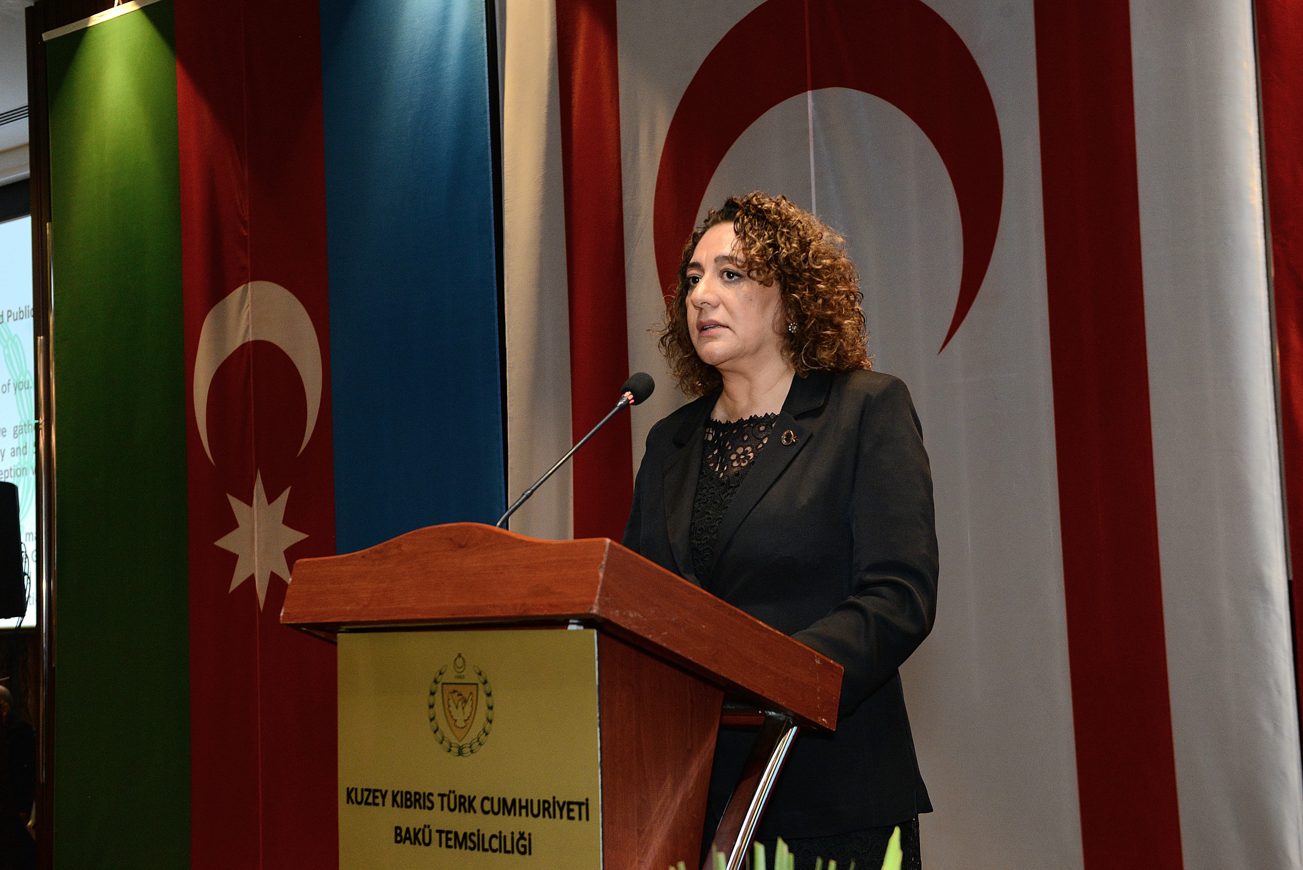 İlham Əliyevin fikri bütün Türk dünyası üçün yol xəritəsidir