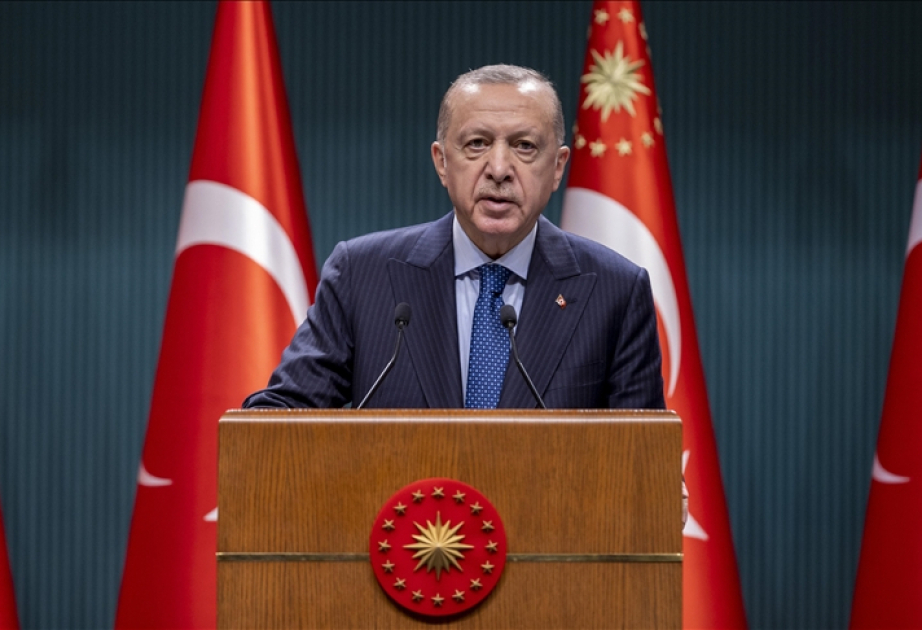 Kipr məsələsi Türkiyənin milli prioritetidir - Ərdoğan