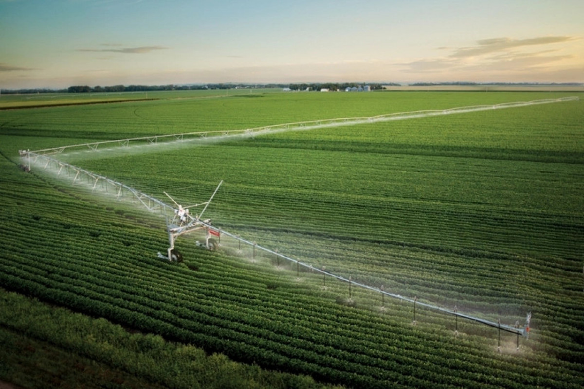 Torpaq sahələrində su çatışmazlığı - DEYİRLƏR YOXDUR