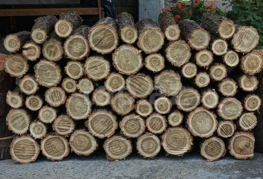 Bu ərazilərdən odun qıra bilərsiniz - SİYAHI