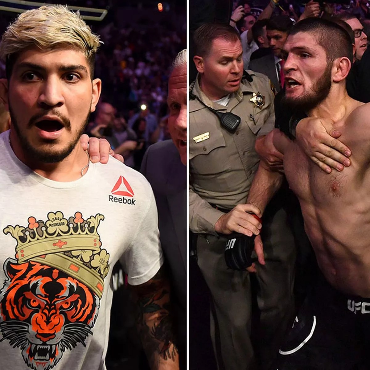 Həbib Nurməhəmmədovun adamları erməni idmançını döydü - VİDEO