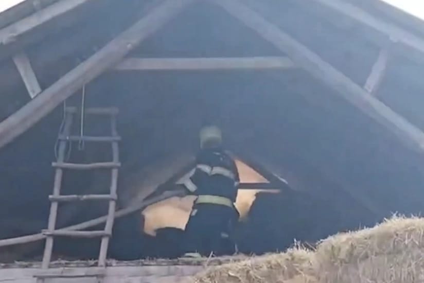 Qəbələdə tövlədə 10 ton ot bağlaması yandı - VİDEO