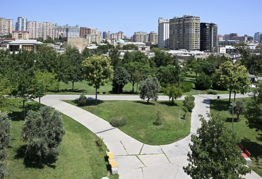 Bakıda yeniyetmə parkda yıxılaraq öldü