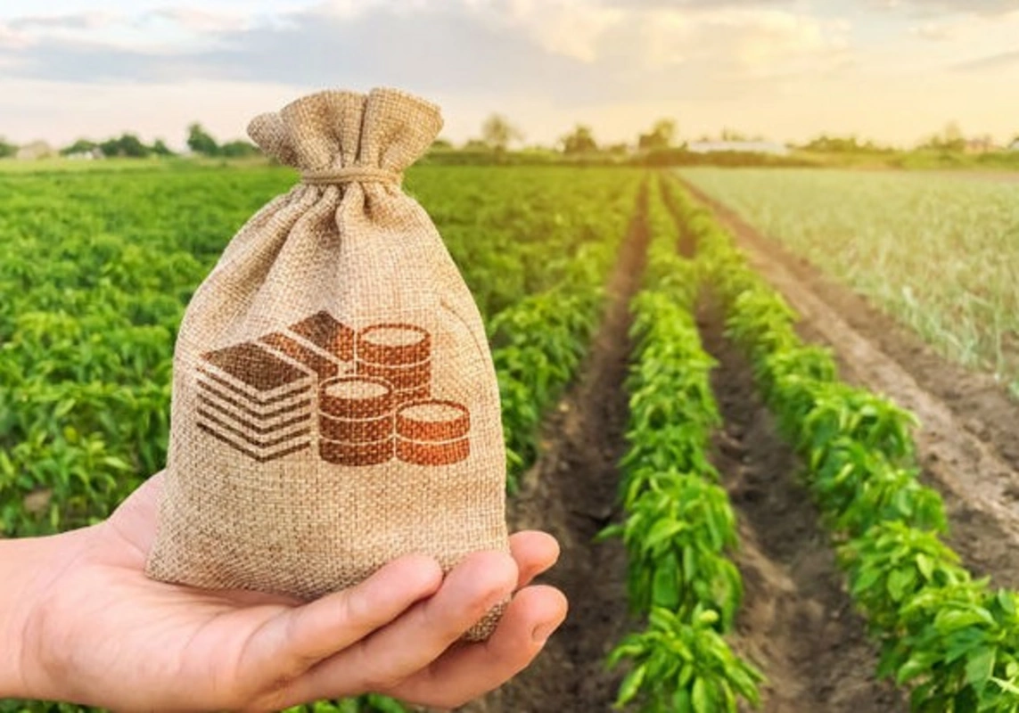 Subsidiyalarla bağlı aydın və anlaşılan qaydalar YOXDUR