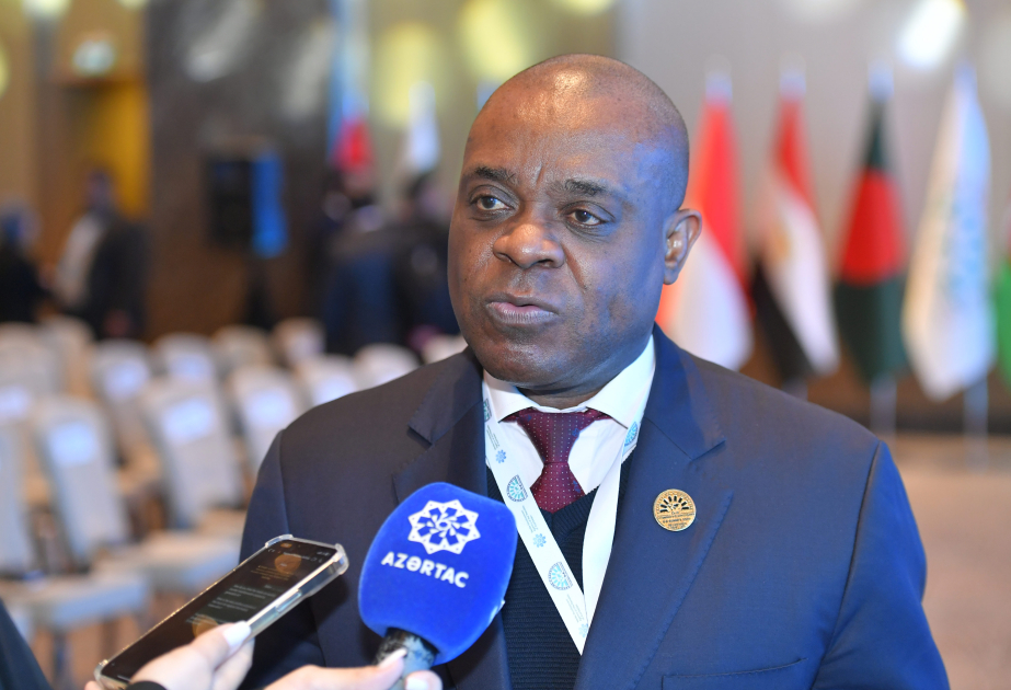 Bakıda D-8 Gənclər Forumu keçiriləcək