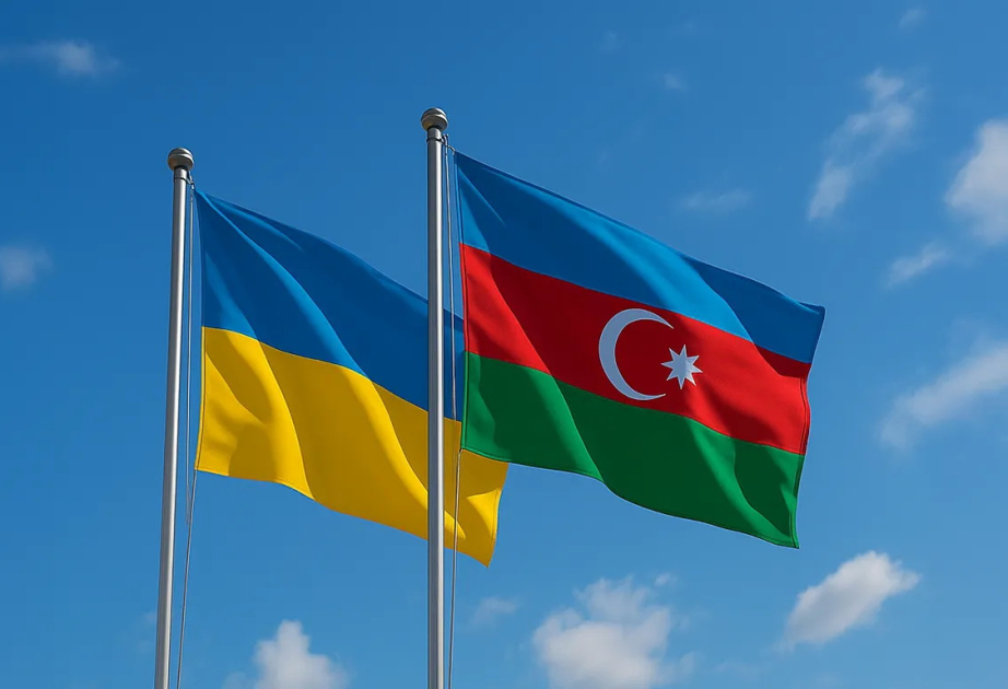 Güclü lider, güclü dövlət - Azərbaycan və Ukrayna reallıqları fonunda