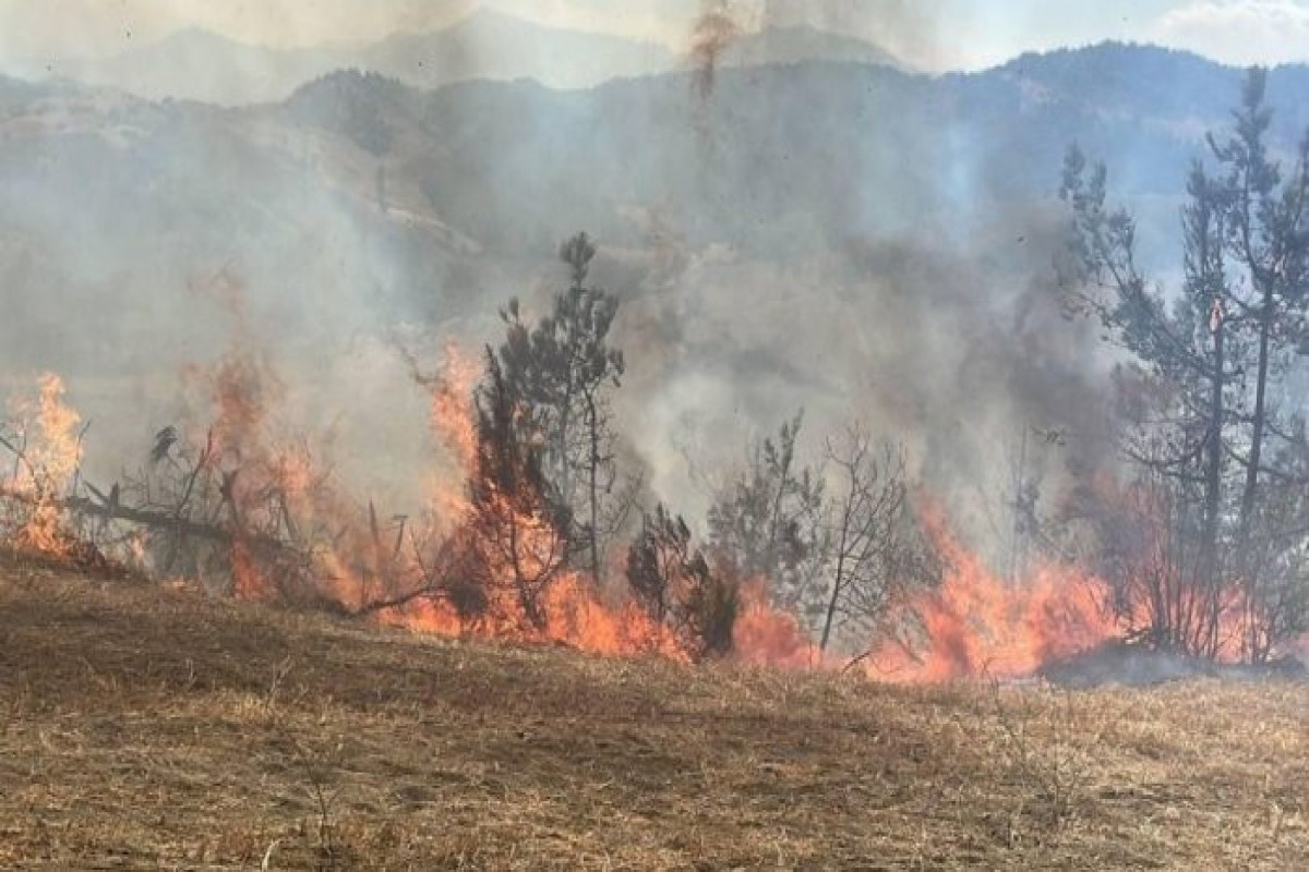 Gədəbəydə dağlıq ərazidə YANĞIN