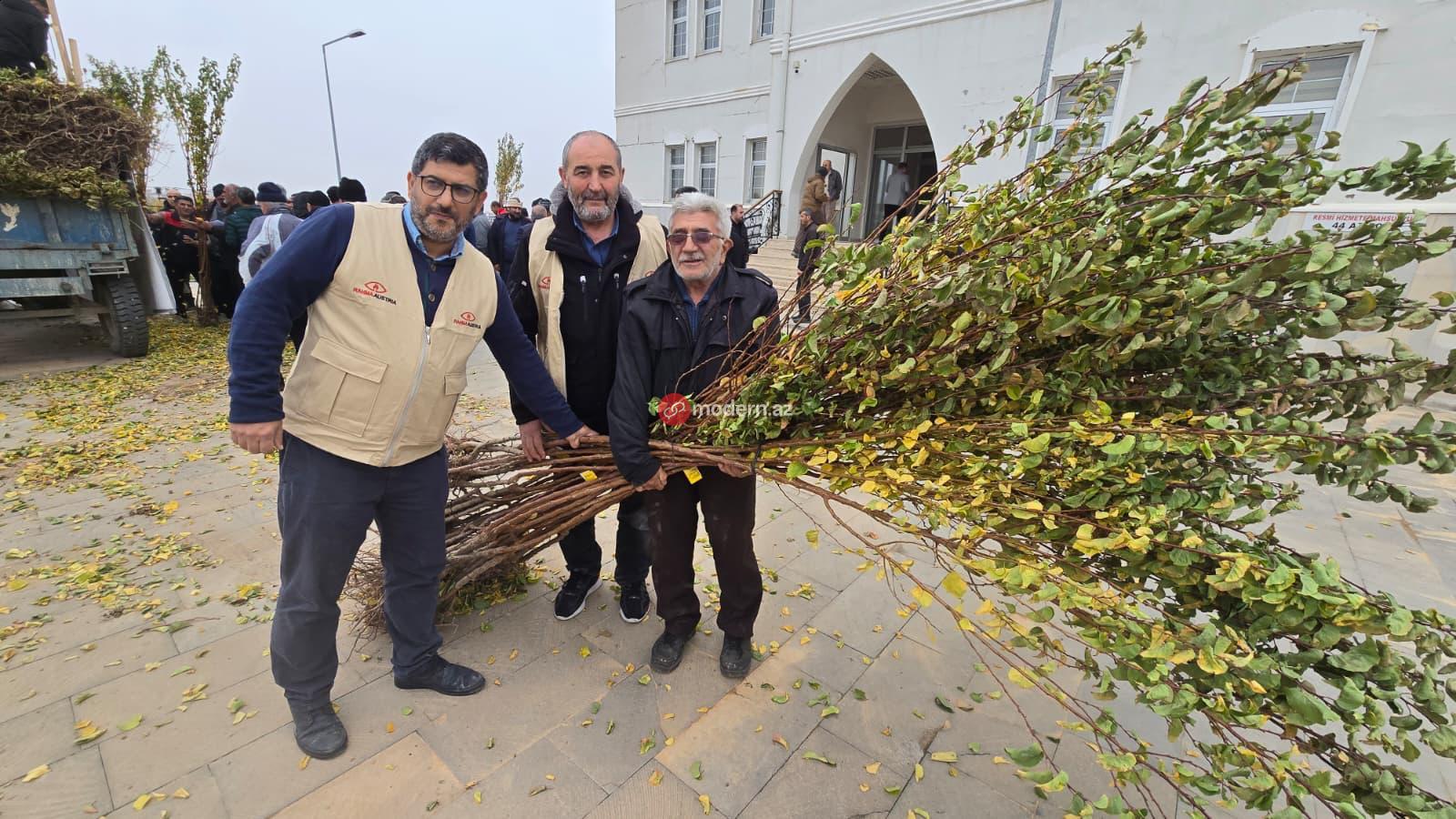 Malatyada zərər görmüş fermerlərə 12 min ərik tingi paylandı - FOTO