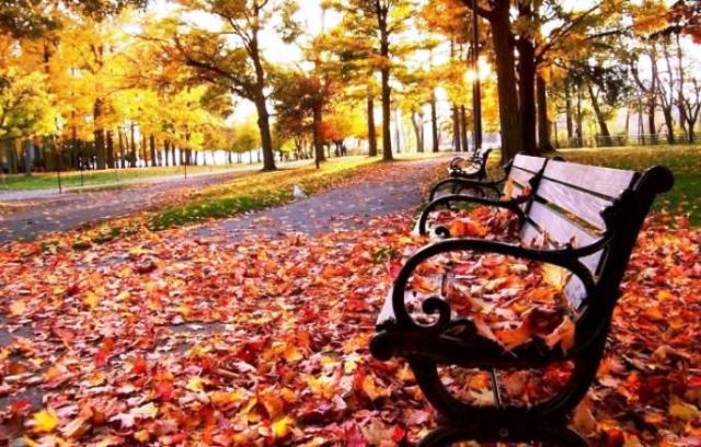 Bu gün hava necə olacaq? - PROQNOZ