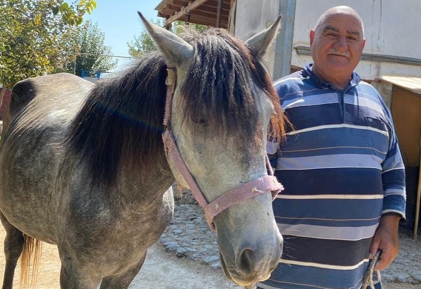 Vəli dayı, kəndimizdən muğayat ol!