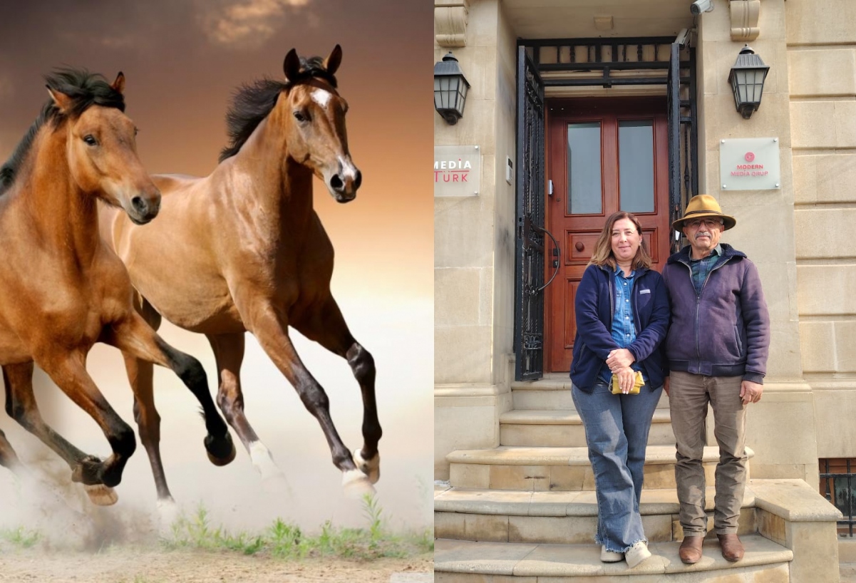 Qarabağda At Festivalı - Türkiyədən maraqlı TƏKLİF