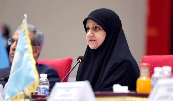 İraqlı nazir Azərbaycana gəldi