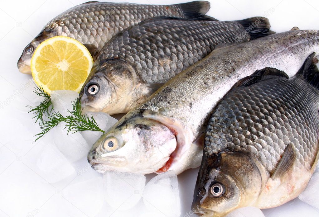 Bu gün Neftçalada balıq festivalı keçirilir