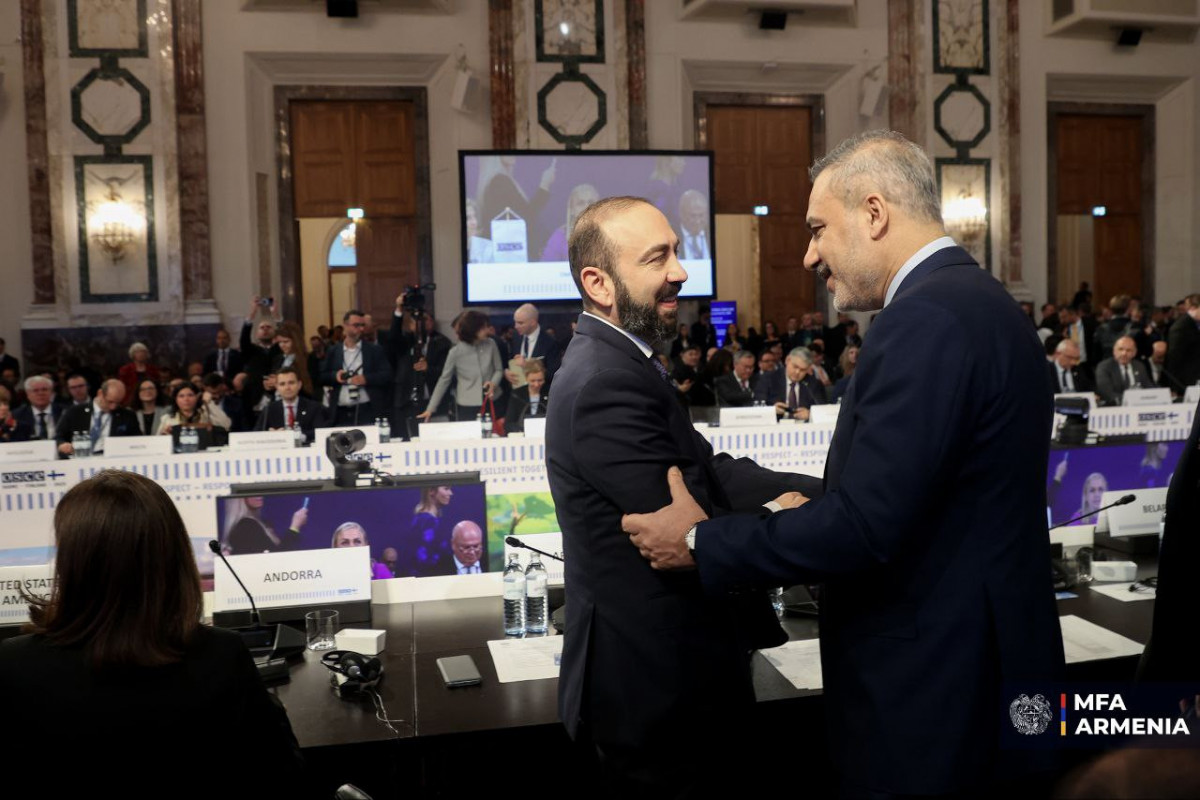 Mirzoyan Vyanada Hakan Fidanla görüşdü