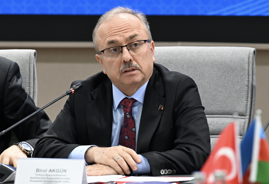 Bugünkü Azərbaycan Heydər Əliyevin əsəridir - SƏFİR