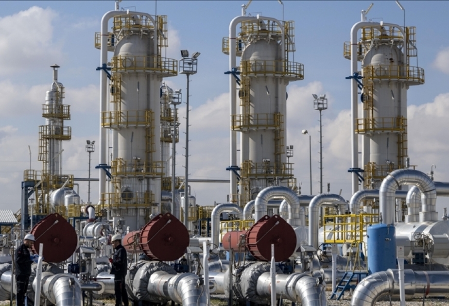 Avropada qaza tələbat 30 il davam edəcək 