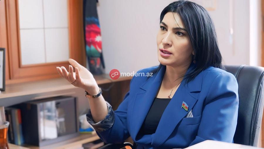 Deputatların da kitabına tənqidçi kimi yanaşacağam - MÜSAHİBƏ