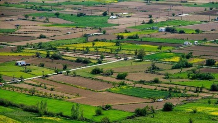 Kənd təsərrüfatı sahəsində tikinti ilə bağlı yeni qayda&nbsp;