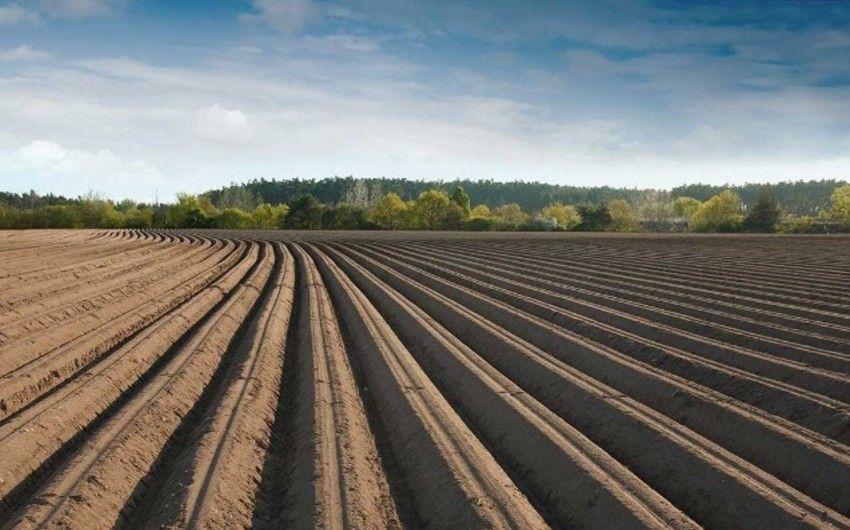 Əkin yerinin yandırılmasına görə yeni cərimələr, inzibati həbs müəyyənləşir