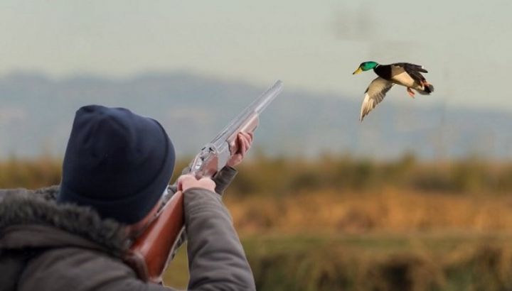 Sabahdan ov mövsümü açılır