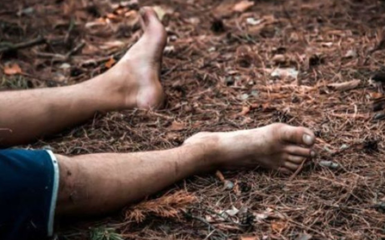 Meşədə üzərinə&nbsp;ağac düşən şəxs öldü