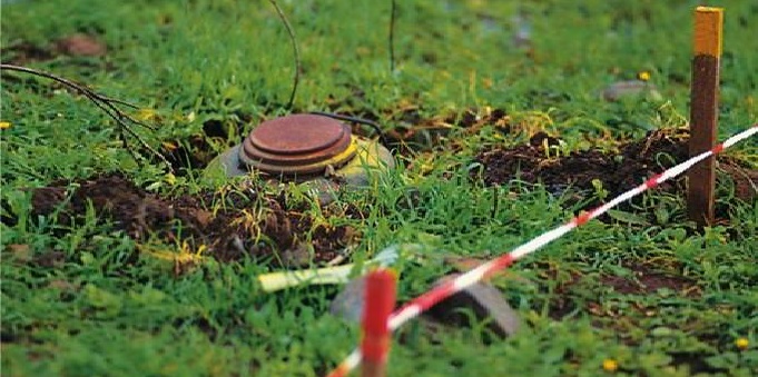 Azərbaycanda minatəmizləmədə heyvanların istifadəsi rəsmiləşdirilir