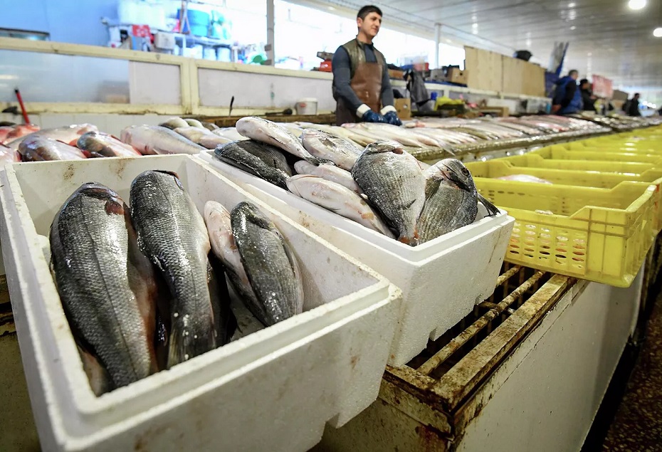 Balıq vergidən azad edilir, kürü&nbsp;yox &ndash; Deputat səbəbləri açıqladı