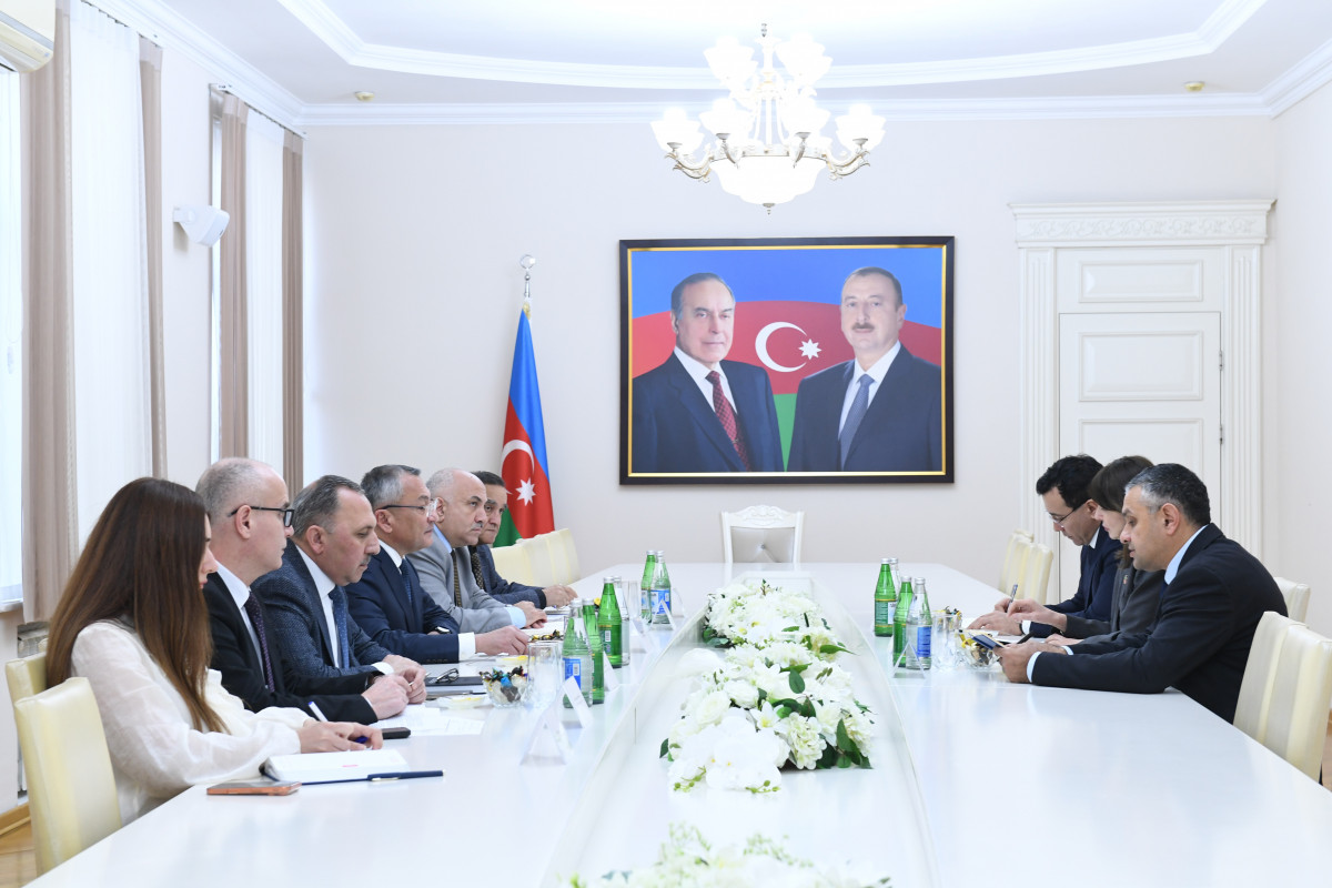 Rövşən Rzayev BMT-nin rezident-əlaqələndiricisi ilə görüşdü