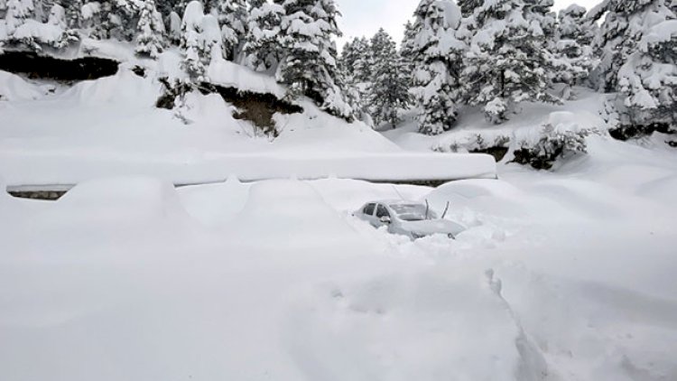 Naxçıvanda qarın hündürlüyü 35 sm-ə çatıb