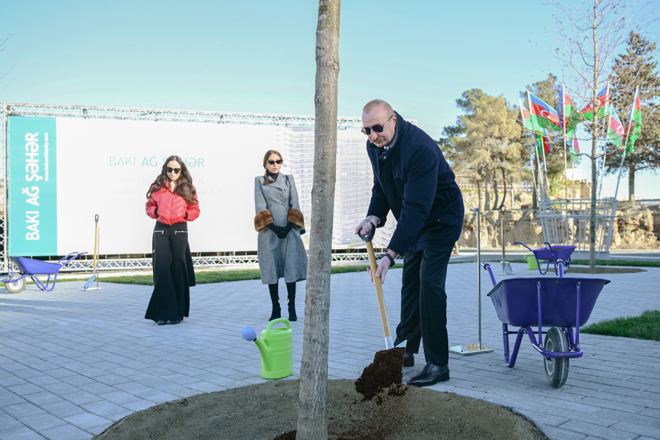 Yeni parkdakı ilk palıd ağacını Prezident əkdi - GÖRÜNTÜLƏR
