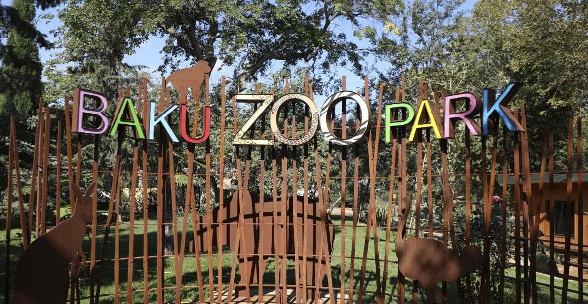 Bakı Zooparkı niyə panda ala bilmir... - Direktor müavini açıqladı