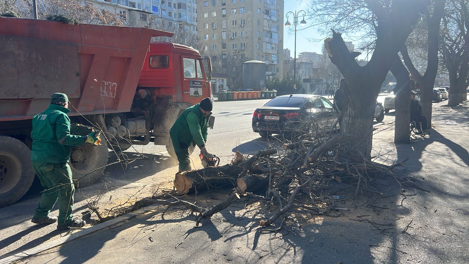 Bakıda güclü külək&nbsp;8 ağacı sındırdı
