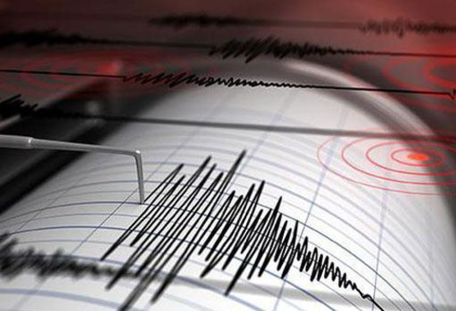 Prezident güclü zəlzələyə görə konfransı yarımçıq dayandırdı