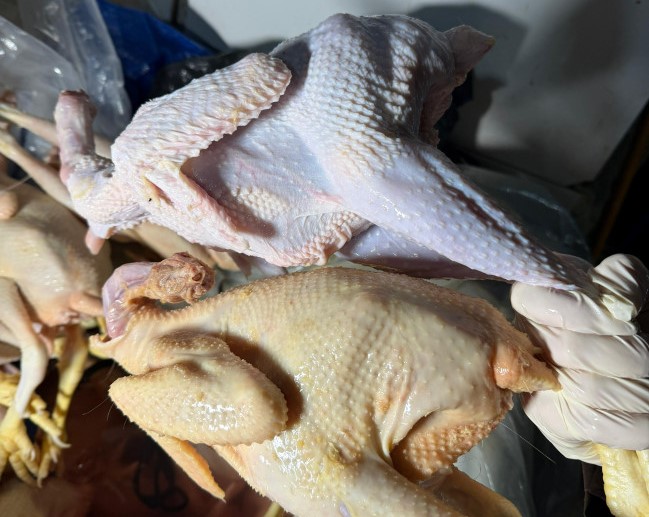 "Kənd toyuğu" adı ilə rəngləmiş toyuq satılırmış