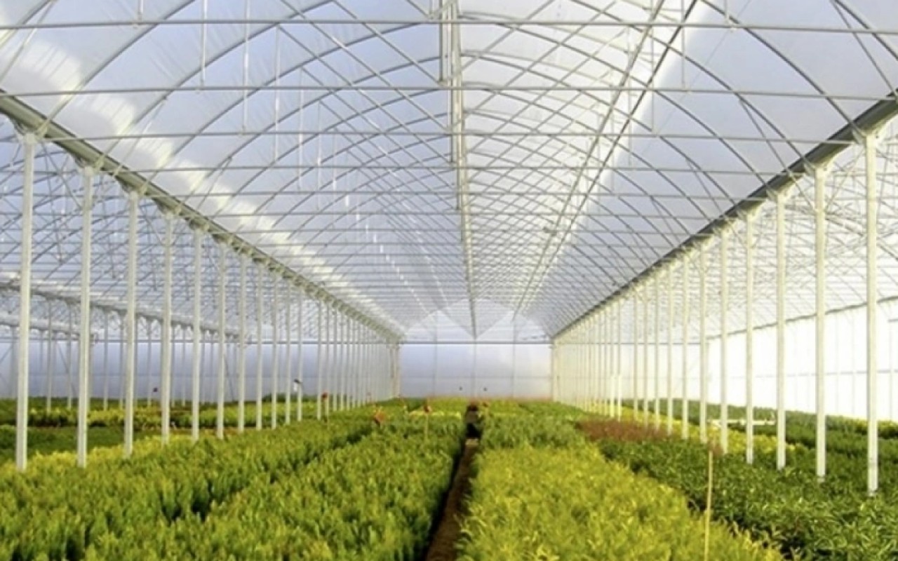 Aqrar fəaliyyətlə məşğul olan obyektlərin tikintisinə icazə təsdiqləndi