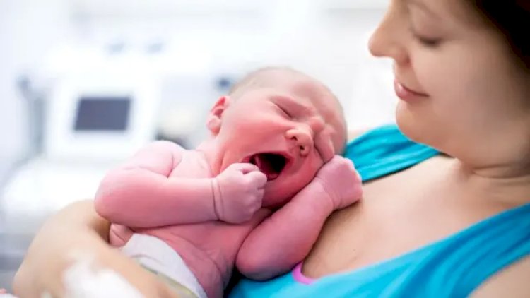 Ötən il 98 mindən çox şəxsə birdəfəlik müavinət verilib