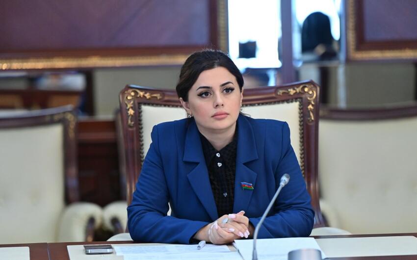 Bərpa olunan enerji prioritetdir: investisiyalar, vergi güzəştləri və yeni stansiyalar