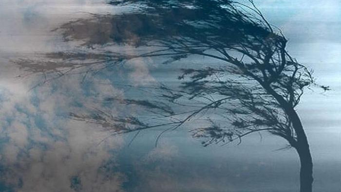 Nazirlikdən küləkli hava xəbərdarlığı