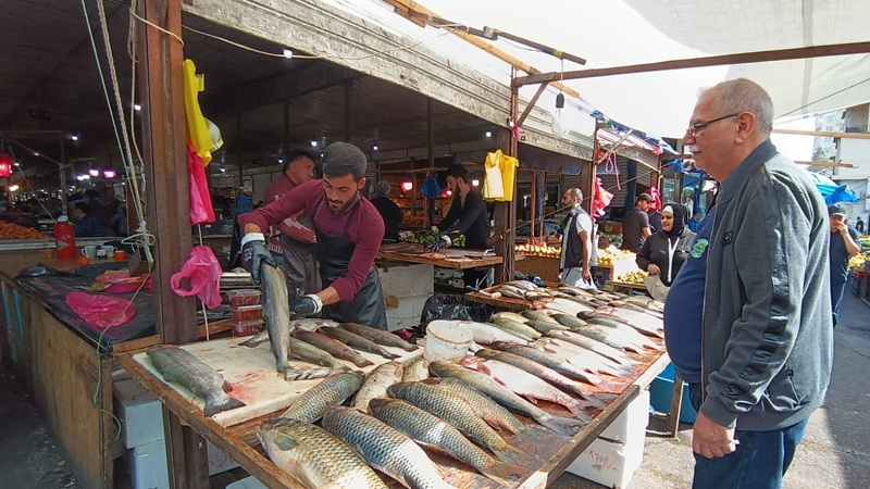 Xəzərin durumu balıq bazarını silkələyir