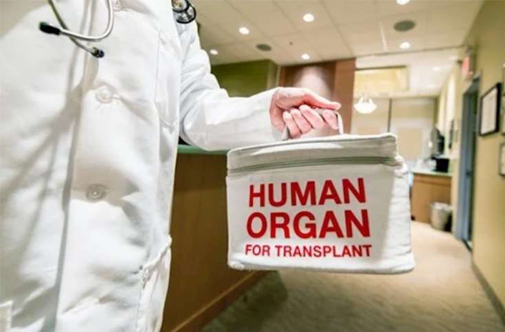 Təhsil eksperti orqanlarını bağışladı - FOTO&nbsp;