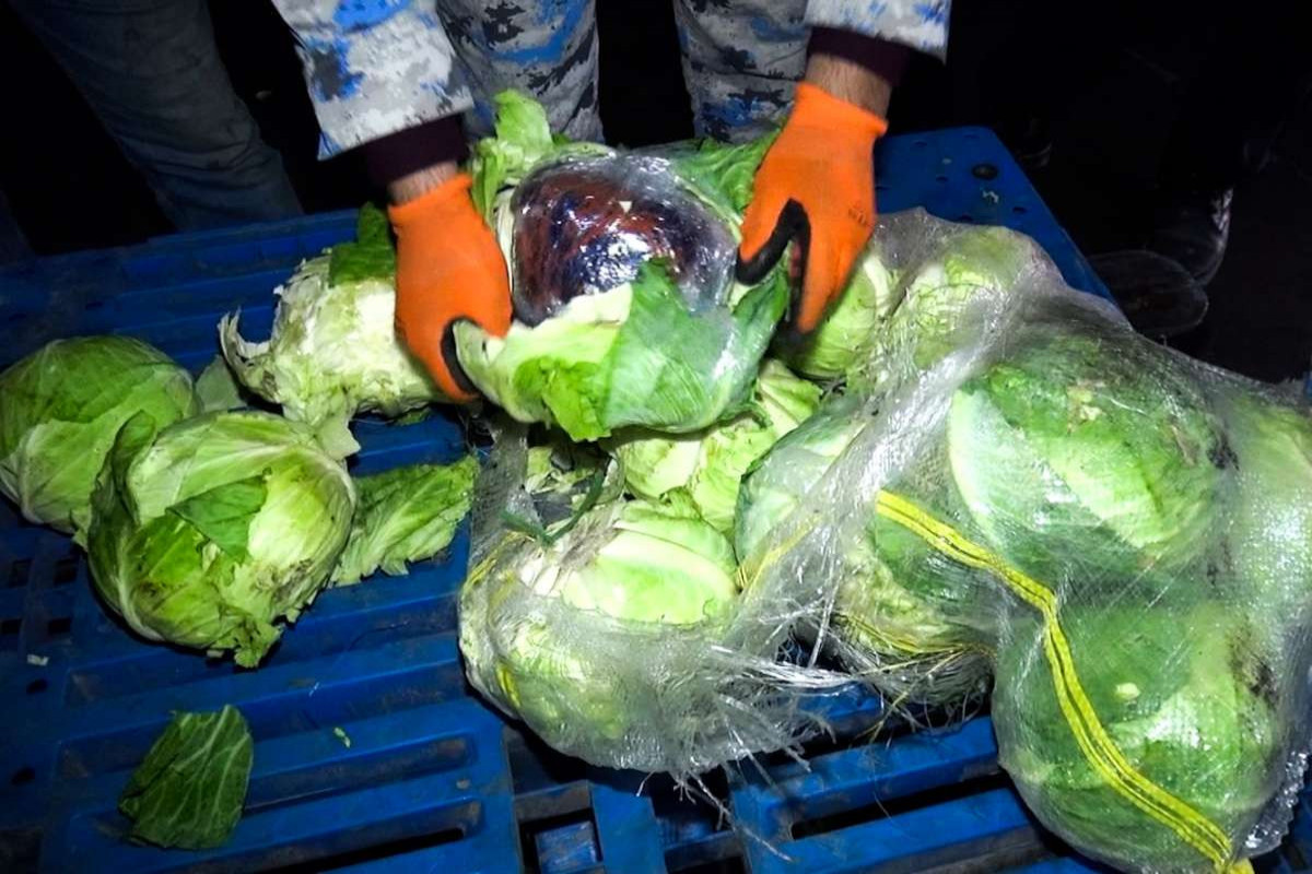 Kələm yükündən narkotik aşkarlandı