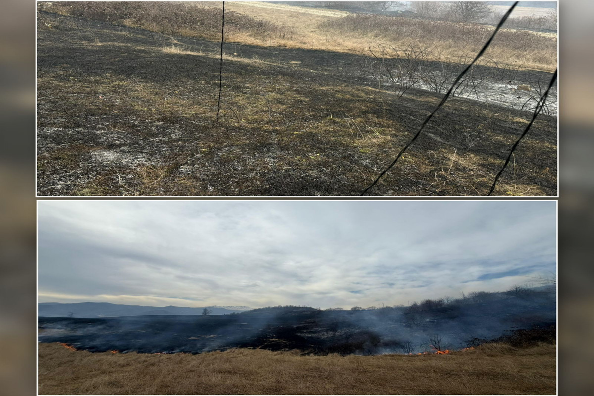 Xocalıda yanğına səbəb olan şəxs saxlanıldı&nbsp;-&nbsp;FOTO
